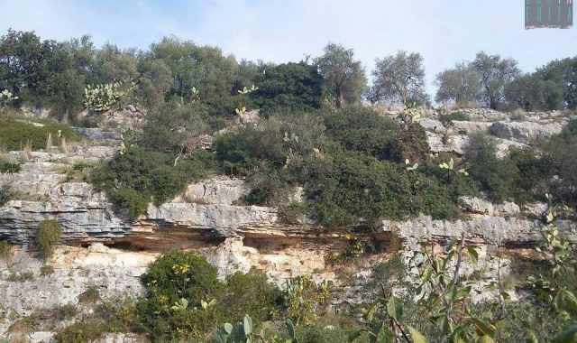 Lama San Giorgio: grotte, natura selvaggia e ripide strade. A due passi da Bari